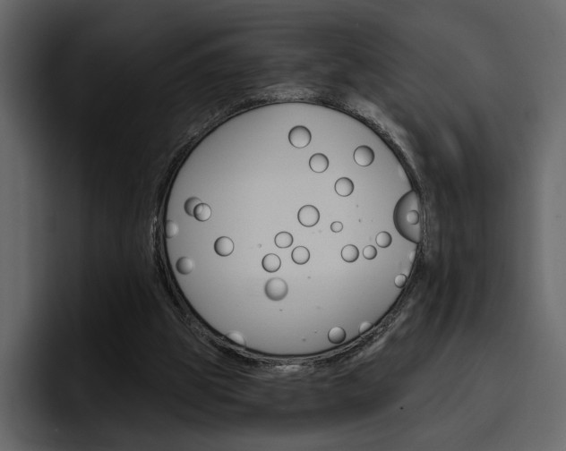 X0000097490153200802220847