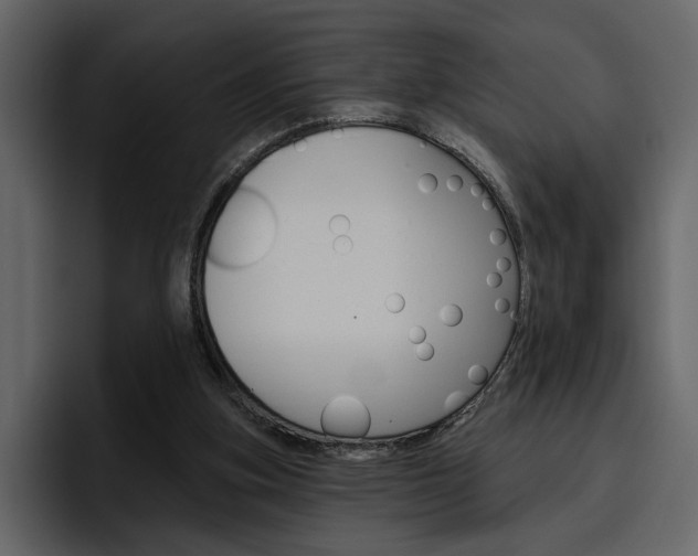 X0000097490155200802220847