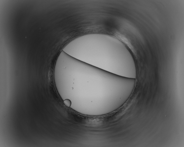 X0000097490161200802220847