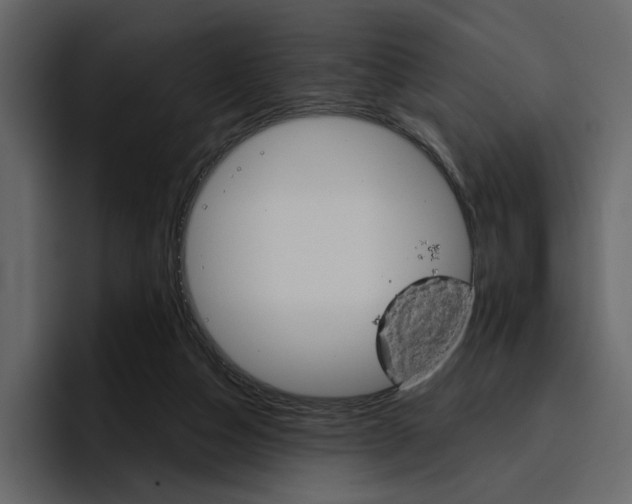 X0000097490162200802220847
