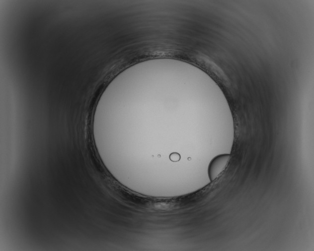 X0000097490163200802220847