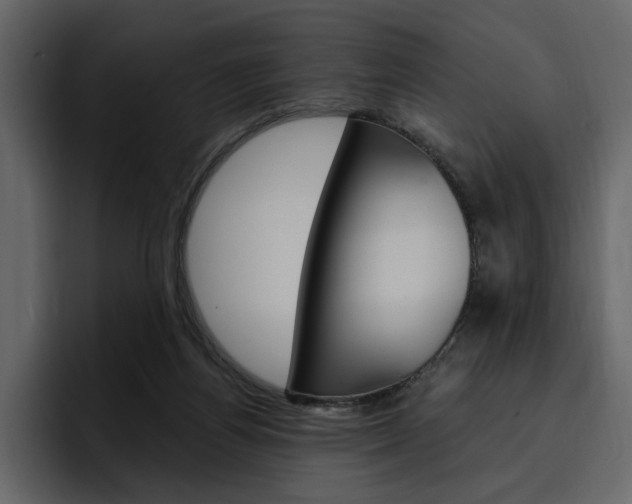 X0000097490164200802220847
