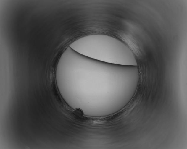X0000097490165200802220847