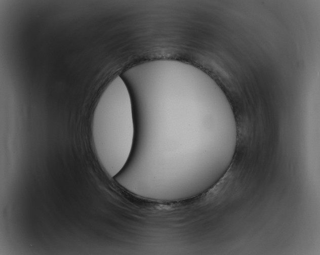 X0000097490166200802220847