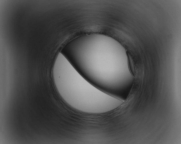 X0000097490168200802220847