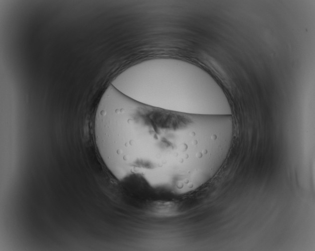 X0000097490169200802220847