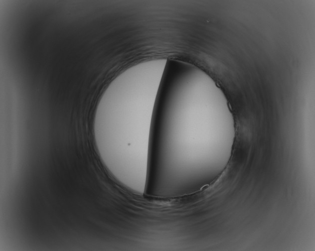 X0000097490170200802220847