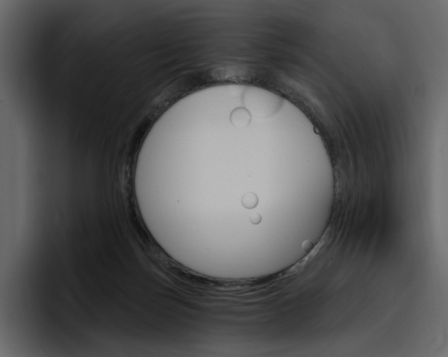X0000097490171200802220847