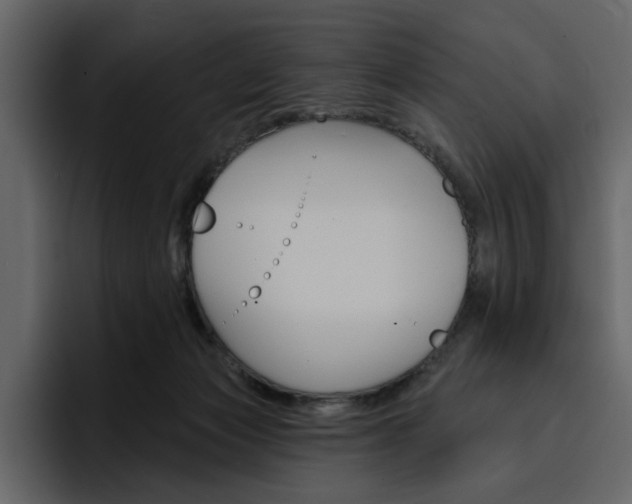 X0000097490173200802220848