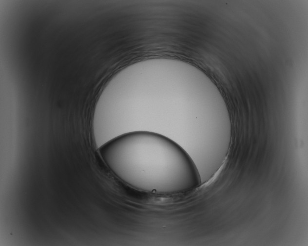 X0000097490174200802220848