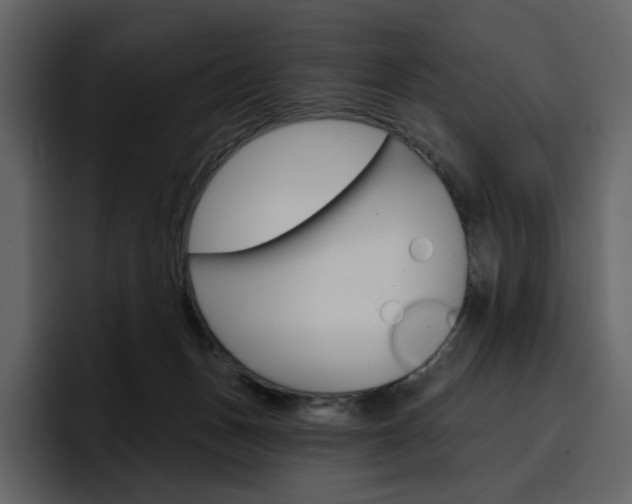 X0000097490175200802220848