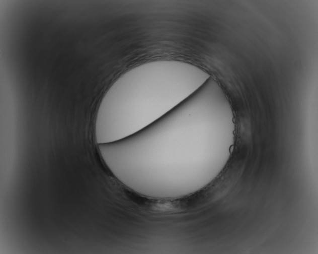 X0000097490177200802220848