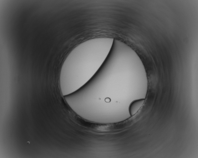X0000097490178200802220848