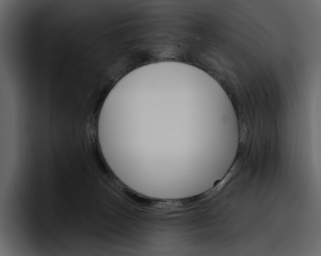 X0000097490179200802220848