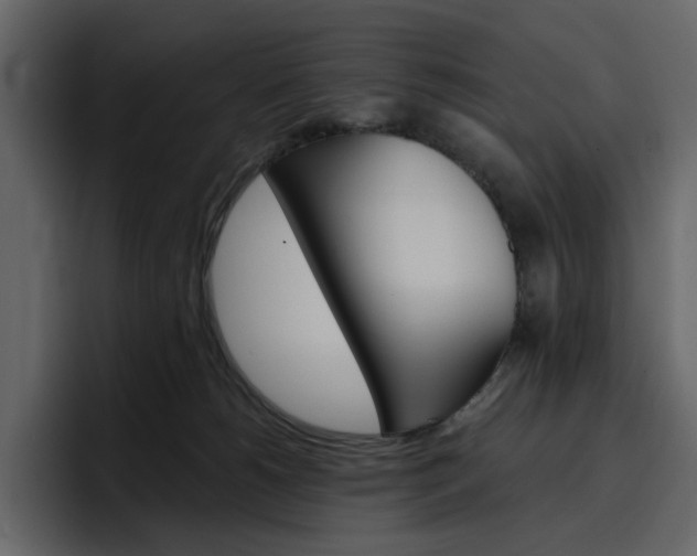X0000097490180200802220848