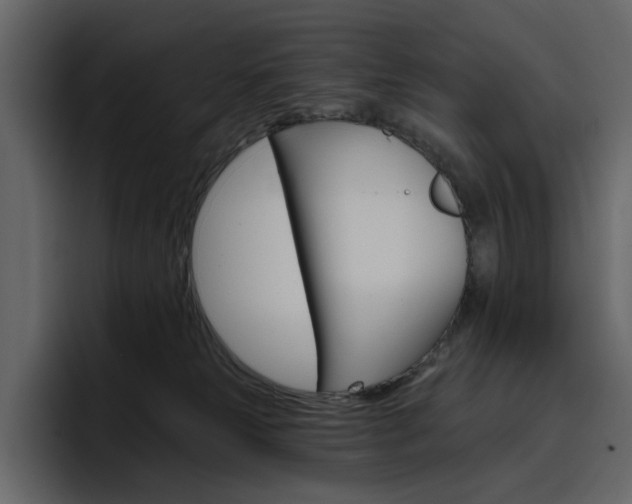 X0000097490181200802220848