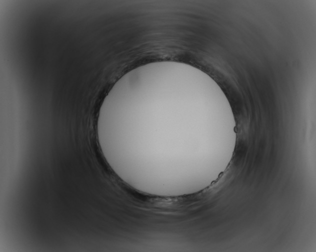 X0000097490182200802220848
