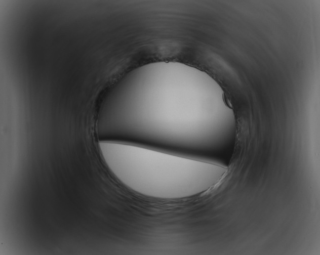 X0000097490184200802220848
