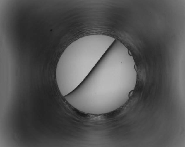 X0000097490185200802220848