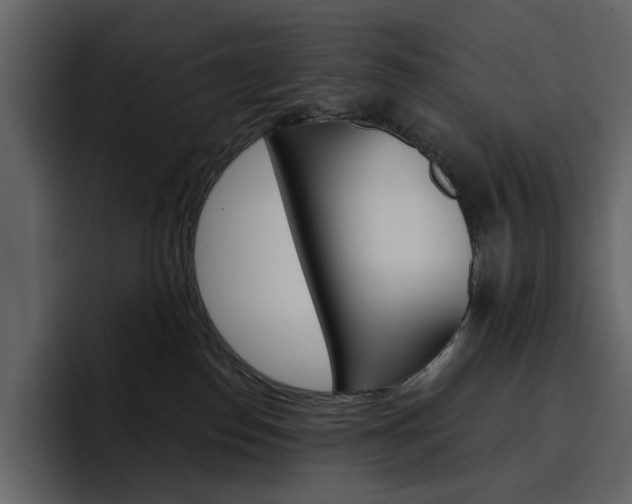 X0000097490186200802220848