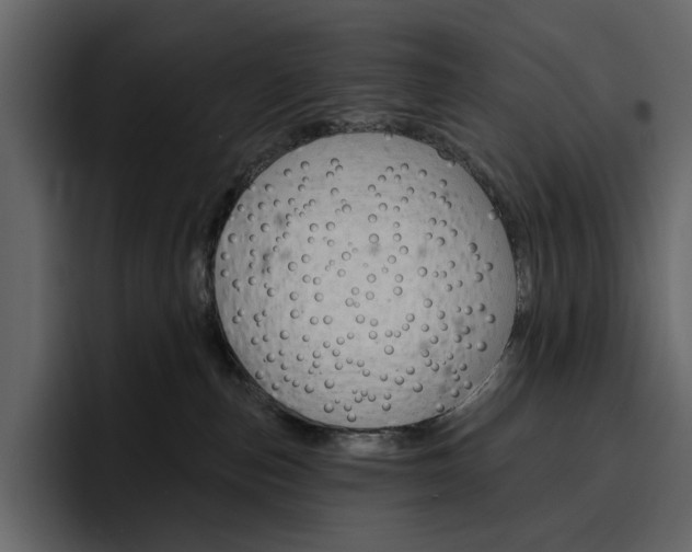 X0000097490187200802220848