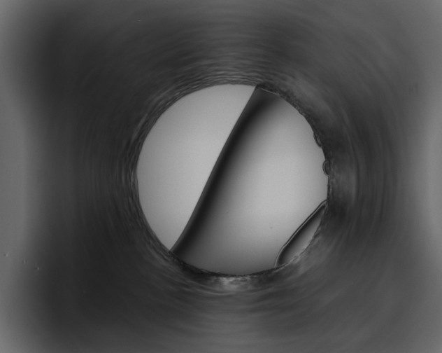 X0000097490188200802220848