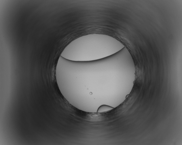 X0000097490189200802220848