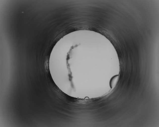 X0000097490190200802220848