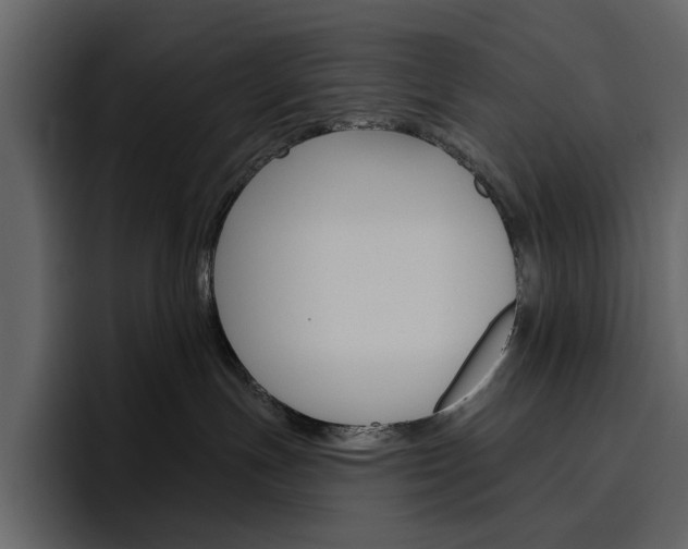 X0000097490191200802220848