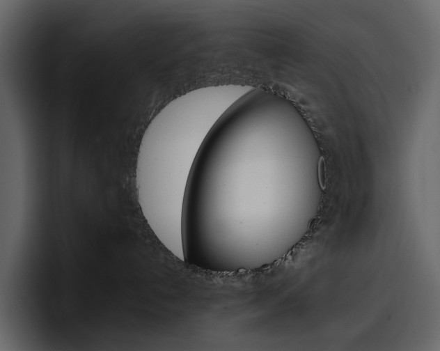 X0000097490192200802220848