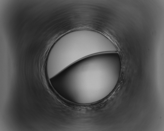 X0000097490193200802220847