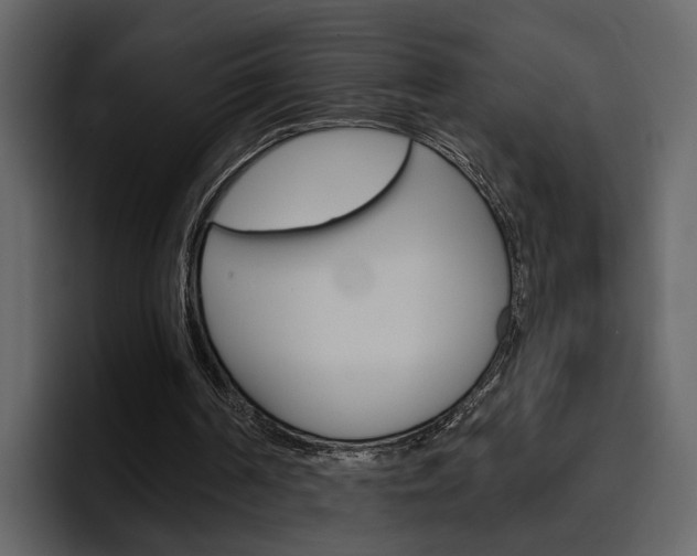 X0000097490194200802220847