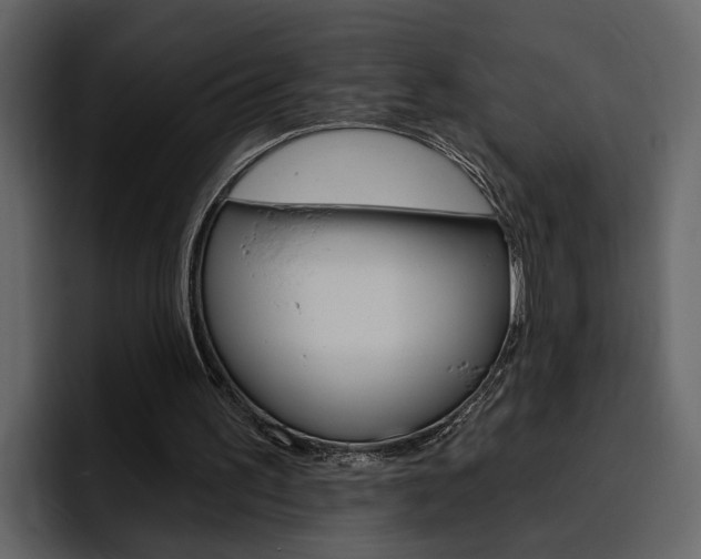 X0000097490195200802220847
