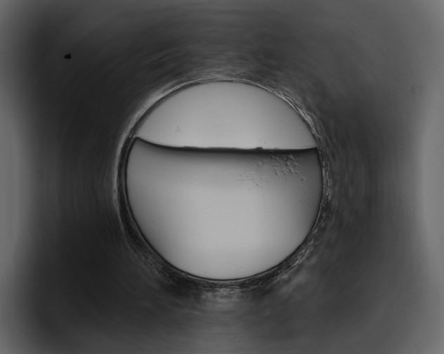 X0000097490196200802220847