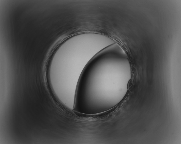X0000097490197200802220847