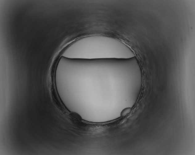 X0000097490198200802220847