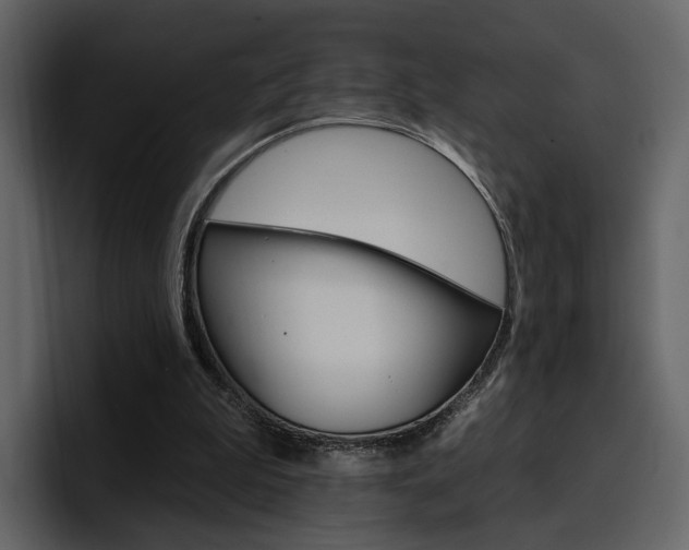 X0000097490199200802220847
