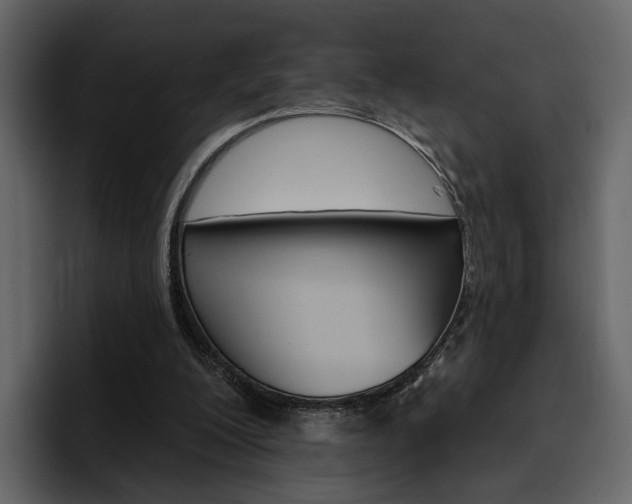 X0000097490200200802220847