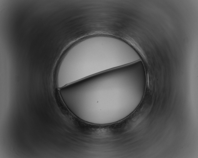 X0000097490204200802220847