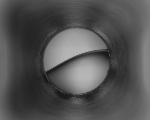 X0000097490207200802220847