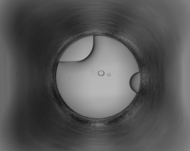 X0000097490208200802220847