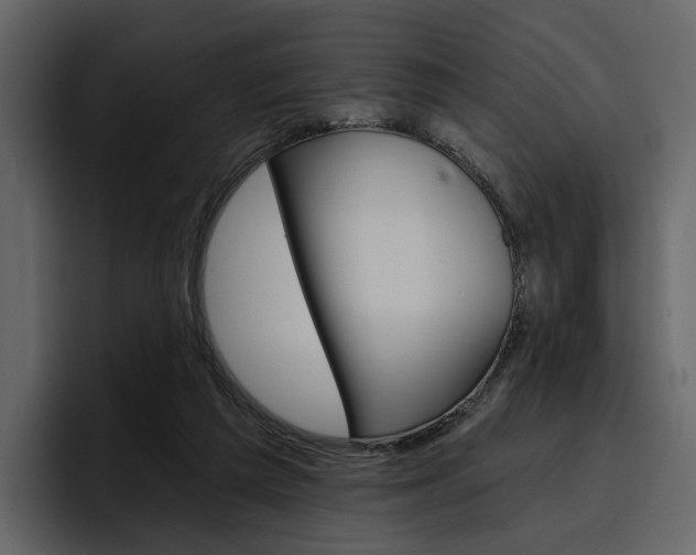 X0000097490209200802220847