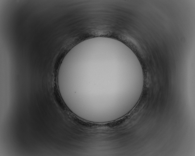 X0000097490210200802220847