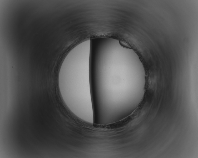 X0000097490211200802220847