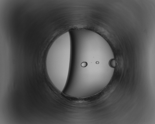 X0000097490212200802220847