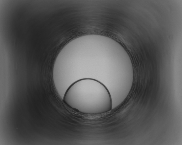X0000097490215200802220847