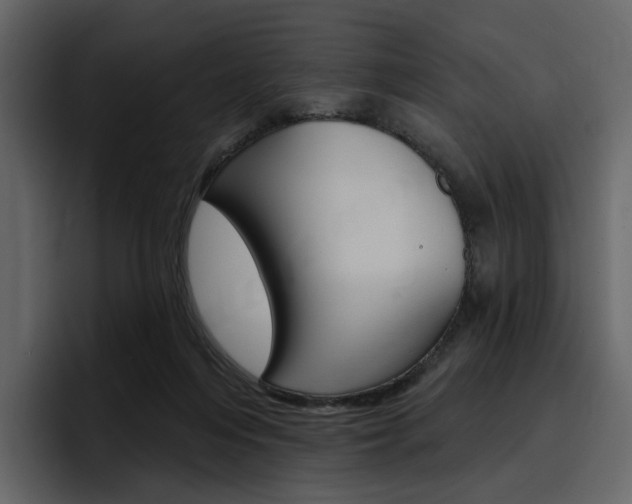 X0000097490216200802220847