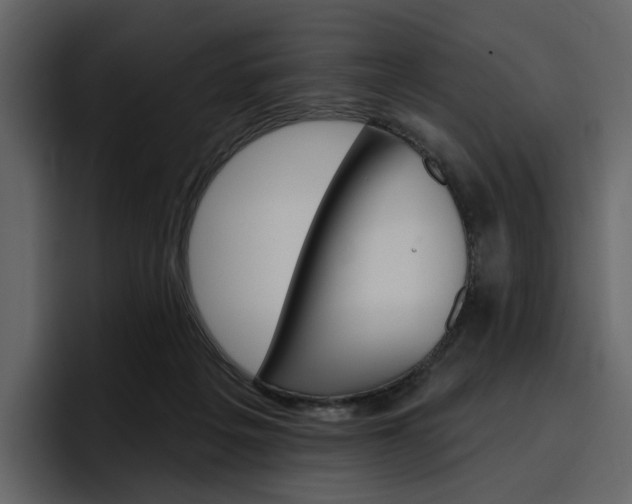 X0000097490217200802220847