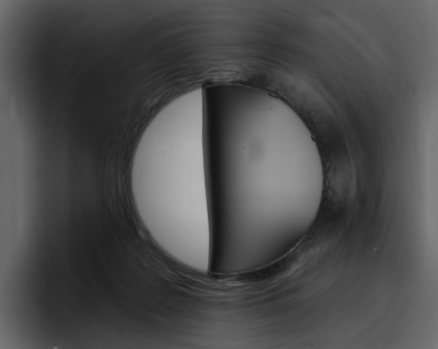 X0000097490219200802220847