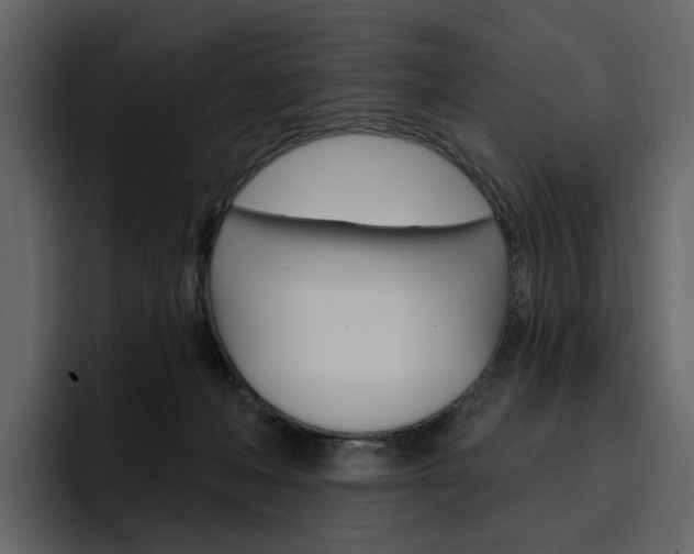 X0000097490222200802220847